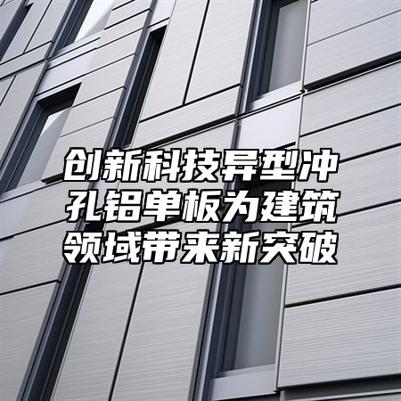 创新科技异型冲孔铝单板为建筑领域带来新突破