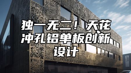 独一无二！天花冲孔铝单板创新设计