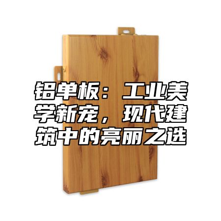 铝单板：工业美学新宠，现代建筑中的亮丽之选