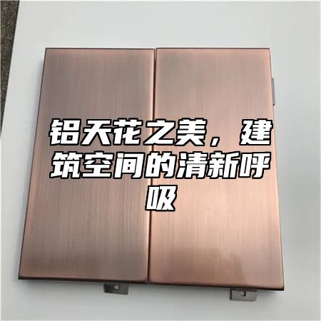 铝天花之美，建筑空间的清新呼吸