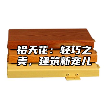 铝天花：轻巧之美，建筑新宠儿