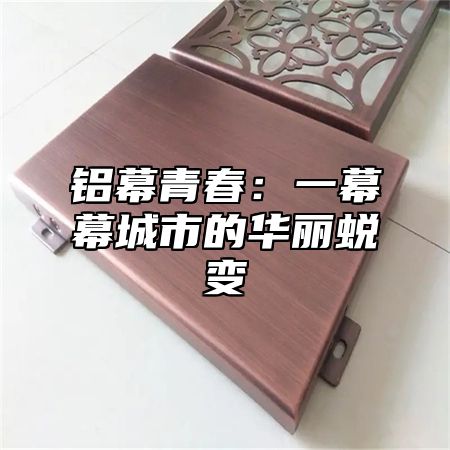 铝幕青春：一幕幕城市的华丽蜕变