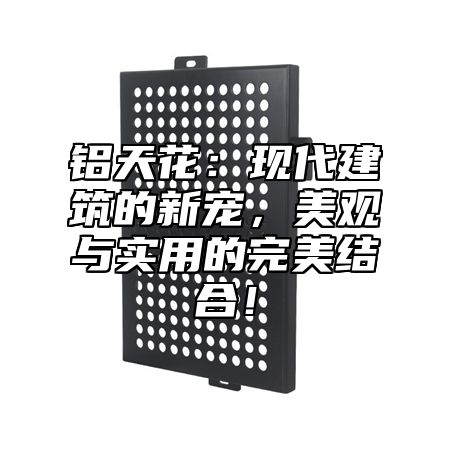铝天花：现代建筑的新宠，美观与实用的完美结合！