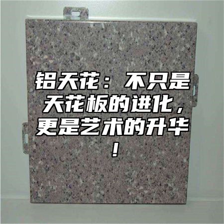 铝天花：不只是天花板的进化，更是艺术的升华！