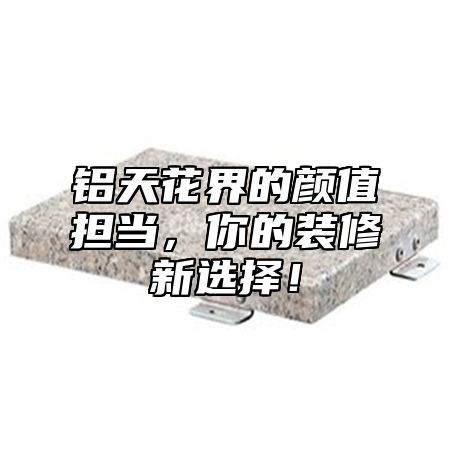 铝天花界的颜值担当，你的装修新选择！