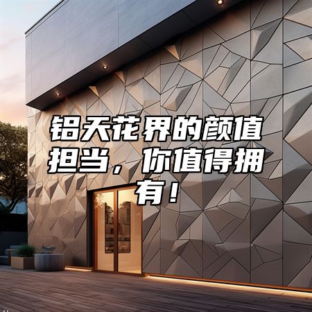铝天花界的颜值担当，你值得拥有！